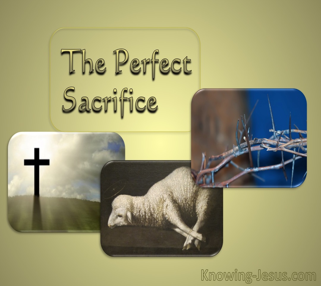 2 Corinthians 5:21 Sacrifice And Offering (devotional)01:09 (brown)